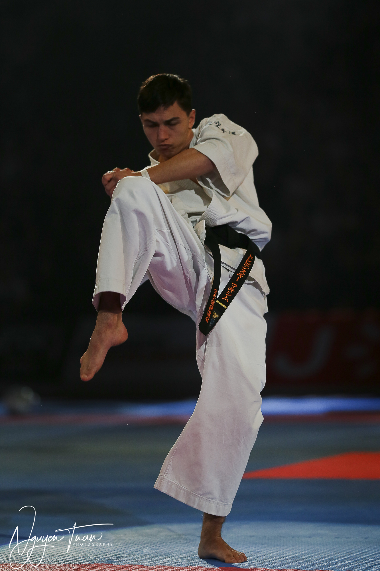 20190324 Festival des Arts Martiaux 3081